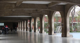 Suspensión de talleres y actividades deportivas - Jueves 1 de septiembre 2022-.