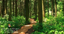 Ejercicios Espirituales de San Ignacio en la Vida Corriente