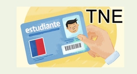 Información Proceso de Inscripción Tarjeta Nacional Estudiantil/TNE 2022