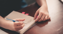 Postulación  Programa de Apoyo Pedagógico para estudiantes que presentan Necesidades Educativas Especiales. (NEE)