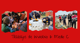 Trabajos de Invierno II° Medio C - Puente Alto.