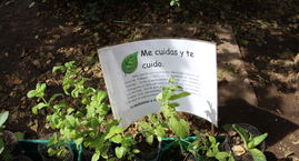 Proyecto Maceteros Autorregantes - 5° Básicos