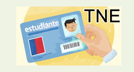 Información Tarjeta Nacional Estudiantil 2023