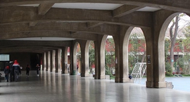 Ajustes en nuestros protocolos, Manual de Convivencia de Preescolar y en el Reglamento de Convivencia Escolar, RICE.