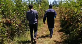 Información Trabajos de Verano 2025