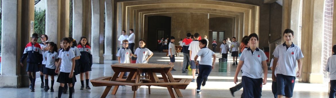 equipo académico siao